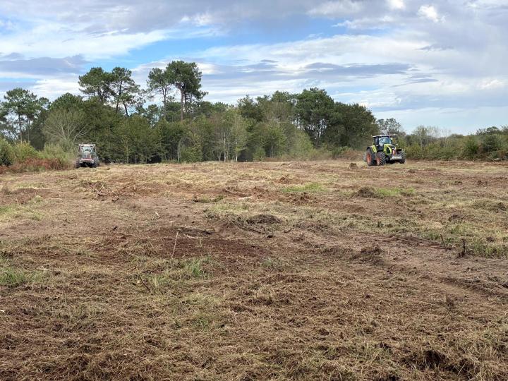 Estimation de bois de forêt Aquitaine