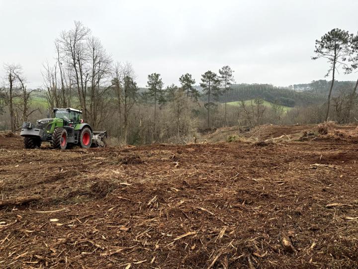 Estimation de bois de forêt Aquitaine